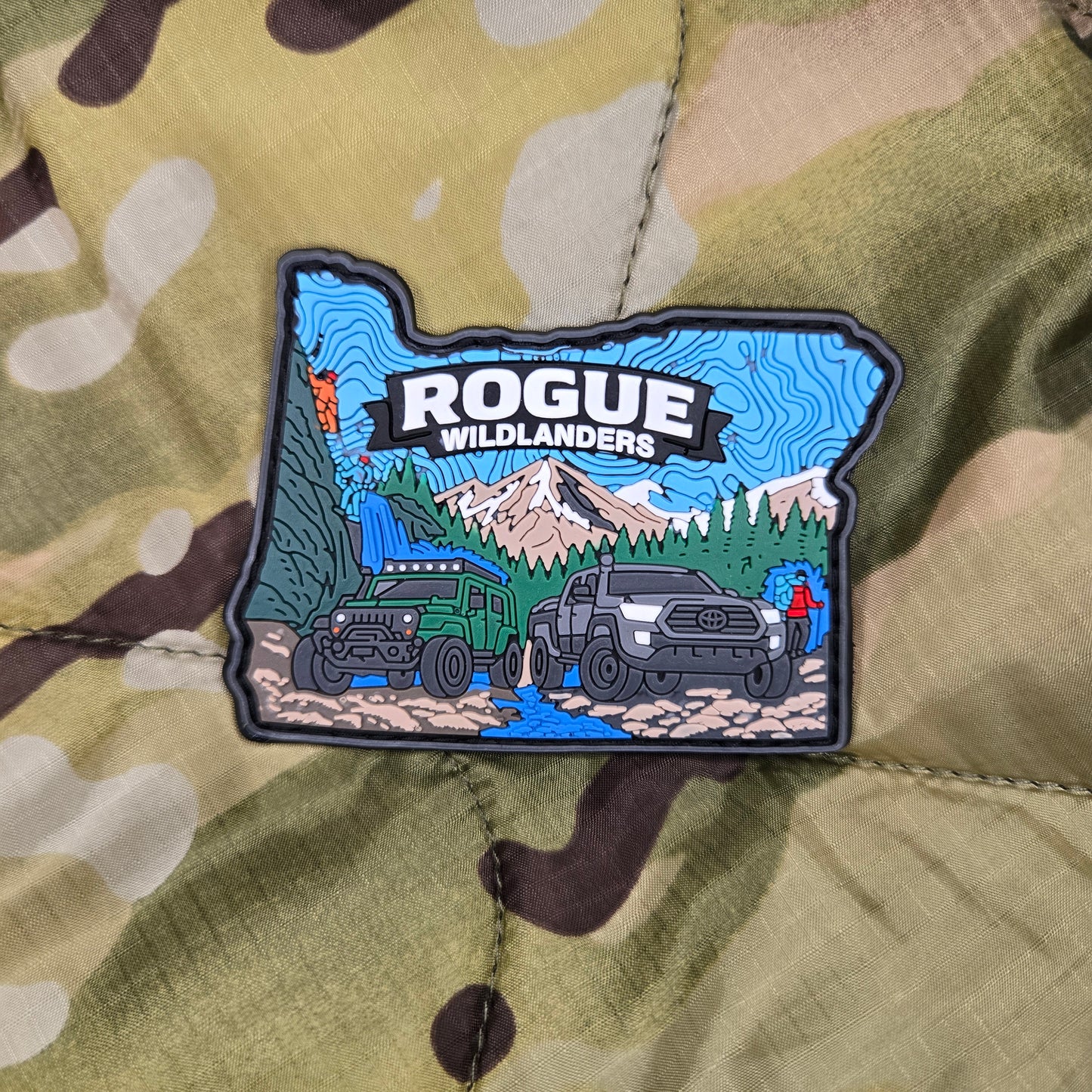 Rogue Wildlanders Patch