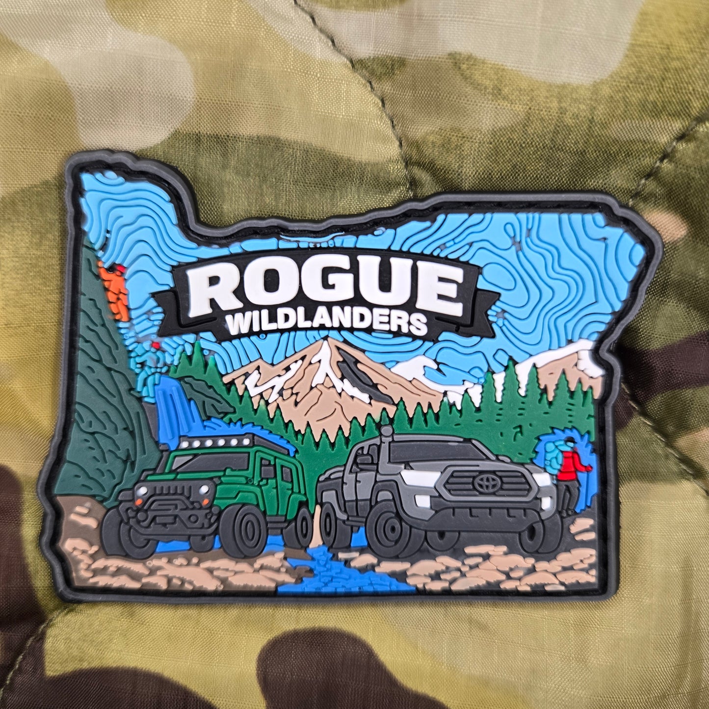 Rogue Wildlanders Patch