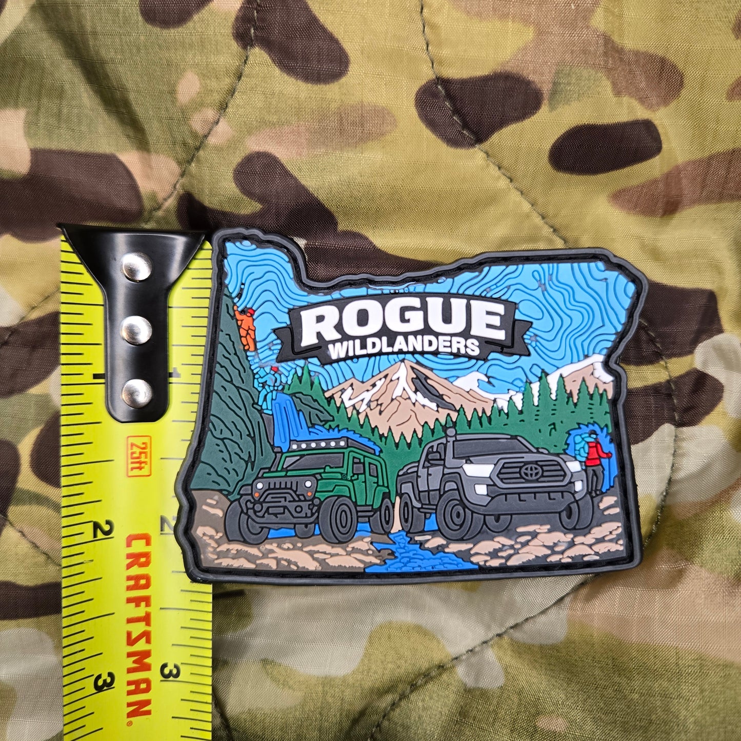 Rogue Wildlanders Patch